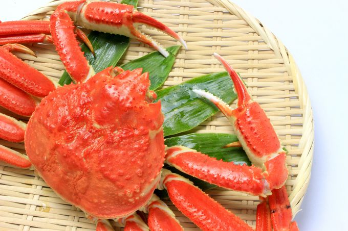 ����̊C�̍K��ԗ�i�ŃQ�b�g�I