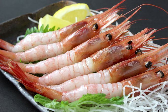 �v���b�v���̂��т������������Ⴂ�܂��傤