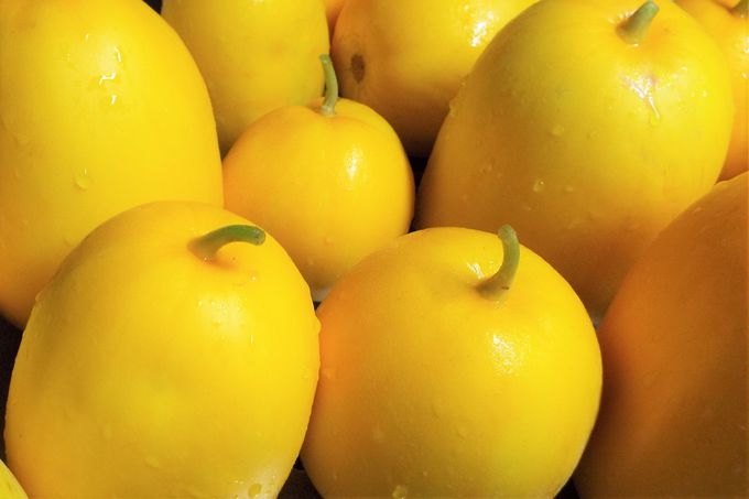 �t���b�V���ł��܁[������̃t���[�c�������オ��I