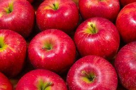 ŐlĈӂ邳Ɣ[ł̓RIҏWÎߕԗi20I̋LTlC