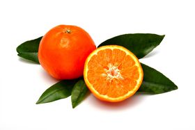 a̎RŐlĈӂ邳Ɣ[ł̓RIҏWÎߕԗi20I̋LTlC