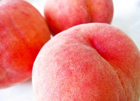 RŐlĈӂ邳Ɣ[ł̓RIҏWÎߕԗi20I̋LTlC