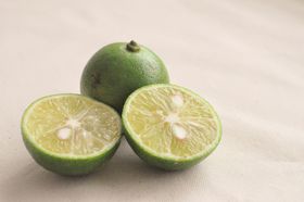 ŐlĈӂ邳Ɣ[ł̓RIҏWÎߕԗi20I̋LTlC