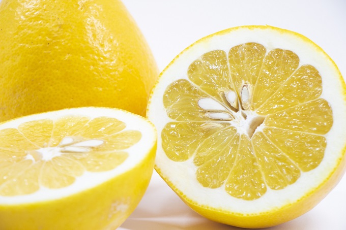 Q̊kނӂ邳Ɣ[łł񂹁I