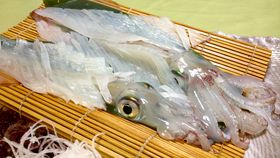 ŐlĈӂ邳Ɣ[ł̓RIҏWÎߕԗi20I̋LTlC