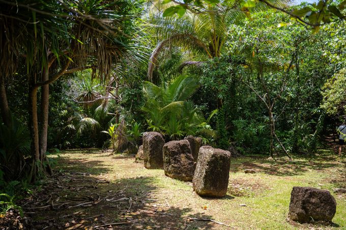 12�D�X�g�[�����m���X