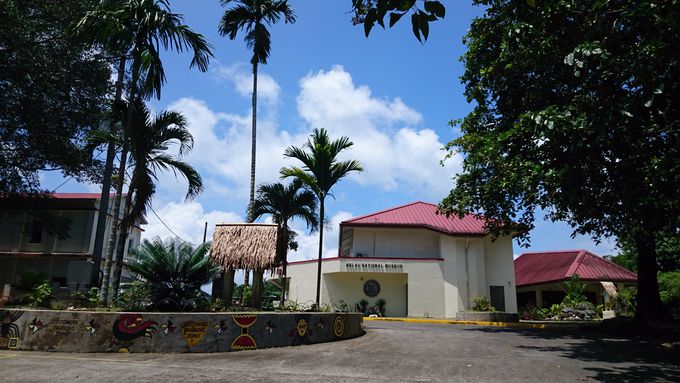 13�D�p���I����������