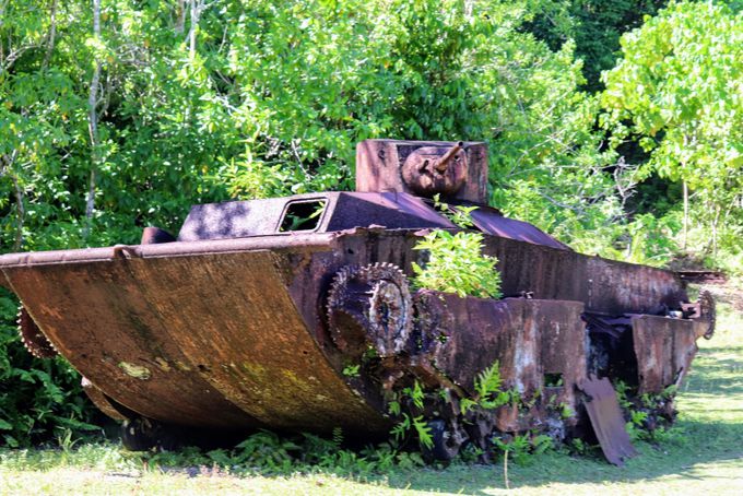 11�D�y�������[��