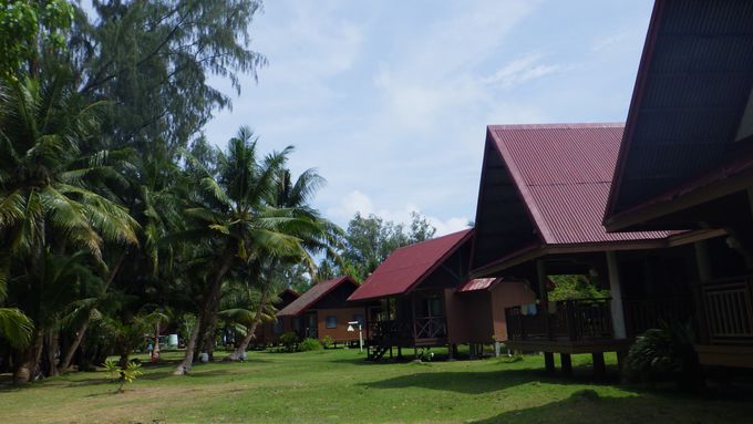 7�D�J�[�v��