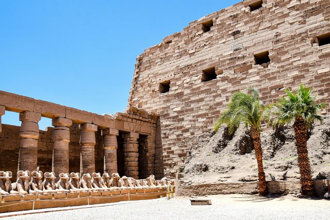 ��Ԋό��n�y8�z�J���i�b�N�_�a�^���N�\�[��