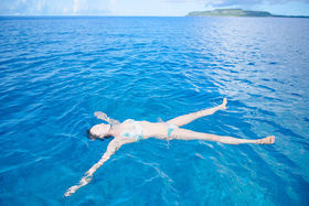 gȂґhŃfgbNXI^EejA̓g[gV̋LTlC