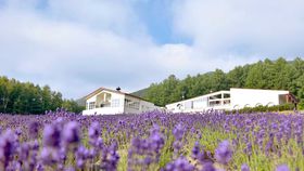 xǖŝ߃rWlXze5I [YiuɕxǖXeC̋LTlC