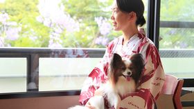 MC̃ybgƈꏏɔ܂zeEh6I@ybgƂ̏sɍœKI̋LTlC