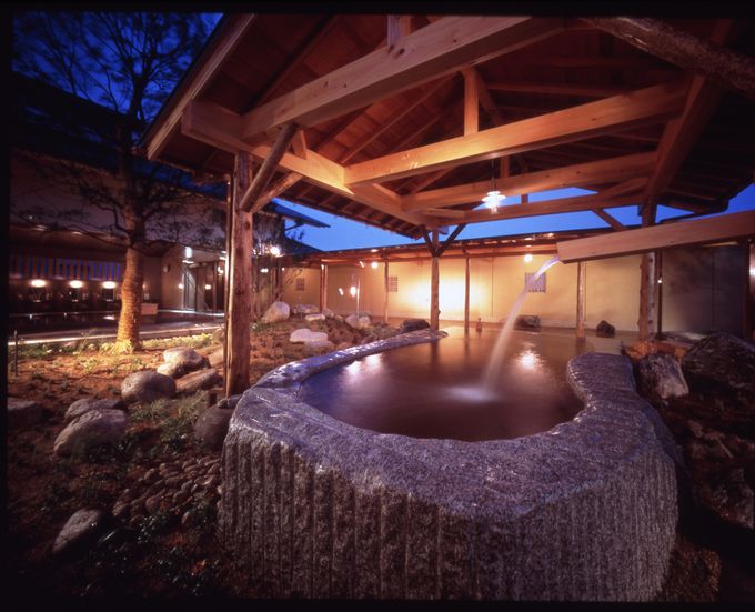 2�D�K�[�f���z�e���I���[�u