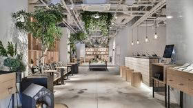 {wɃANZX֗I߃rWlXze10I̋LTlC