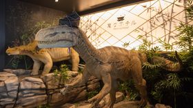 DxwɃANZX֗I߃rWlXze10I̋LTlC