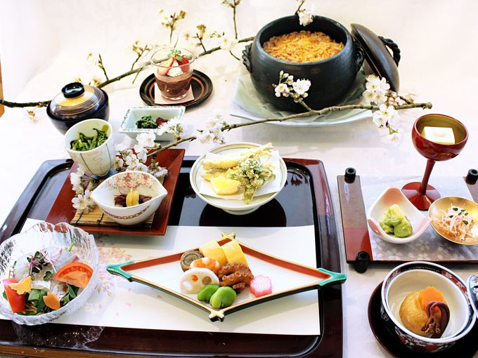 1�D�������[�Z���g�z�e���^⦍�{�O�w