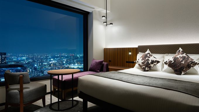 11��-�O��K�[�f���z�e���L�F�v���~�A�^�]����