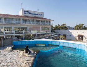 򕶌ɉwɃANZX֗I߃rWlXze4I̋LTlC