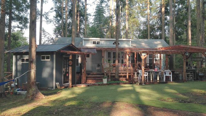 5�D�Q�X�g�C������̓m�^�Q�n��