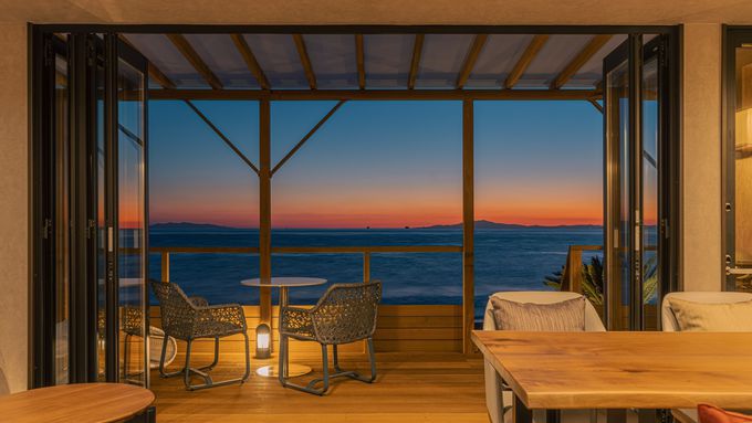 2�Damane�^��t��