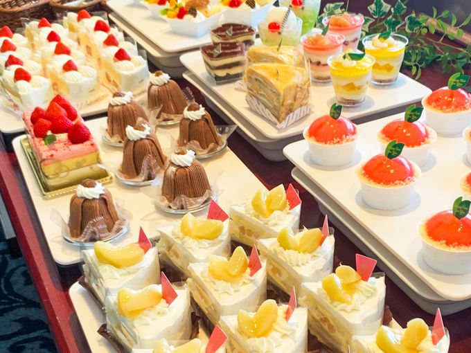 6�D�V���g���[�[�z�e������i2023�N7�����u�����h�j