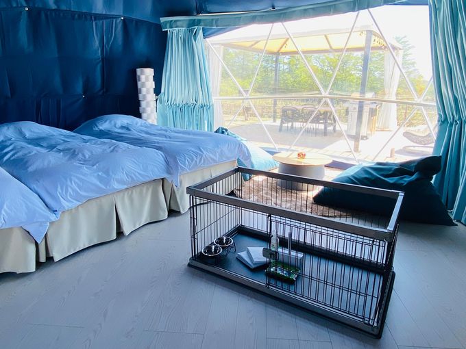 5DCHILL OUT GLAMPING ZAO^{錧