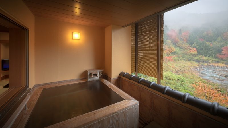 ̂߉򗷊فEze20I ͖ƔH̕ɁI