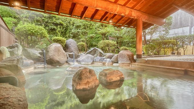 1D]ˉ򕨌Premium Ėؕʊف^挧