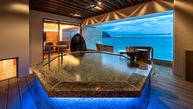 ���ɓ����ŘI�V���C�t���q���ɔ��܂�I�������߃z�e���E����10�I�̋L���T���l�C��