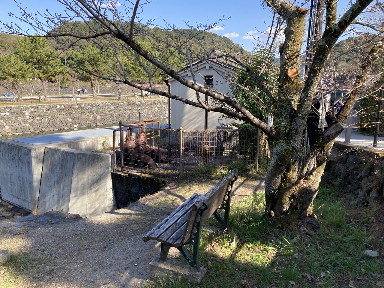 活動歴および当時の関連ビジュアル記録