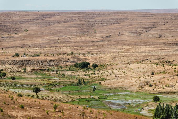 8�D�C�T����������