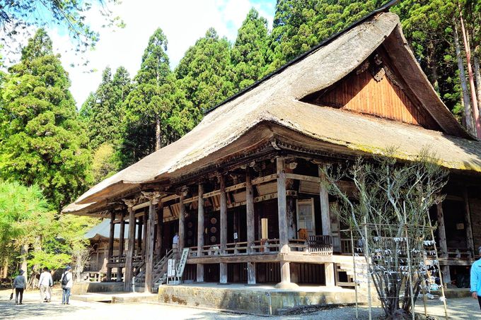 ����R �{�R�������^�R�`�����͍]�s