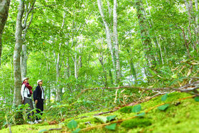 Kό͉ĂȂIH̏q~Ahx`[gx23fR[X̋LTlC