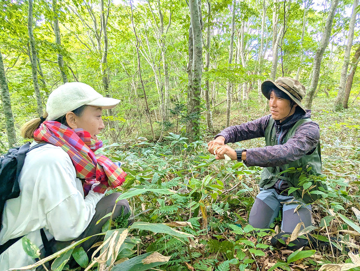 2ڌߑOFK̎ŘuuiуKChcA[vɎQ