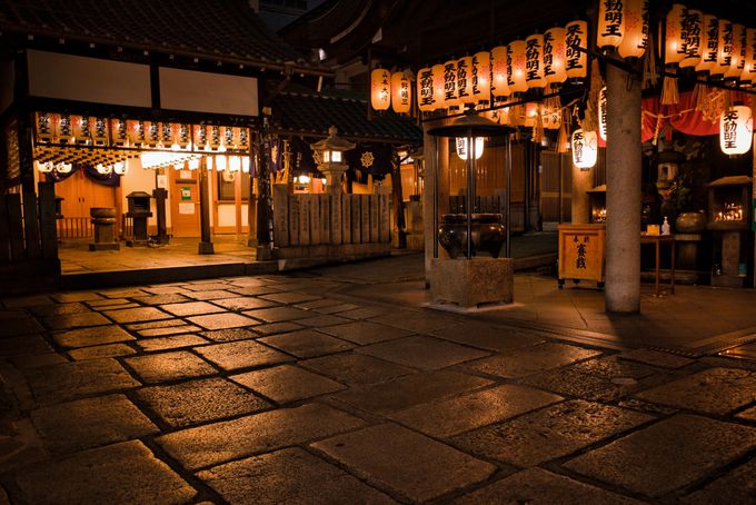 20�D�u�@�P�������v�����Ɋό�