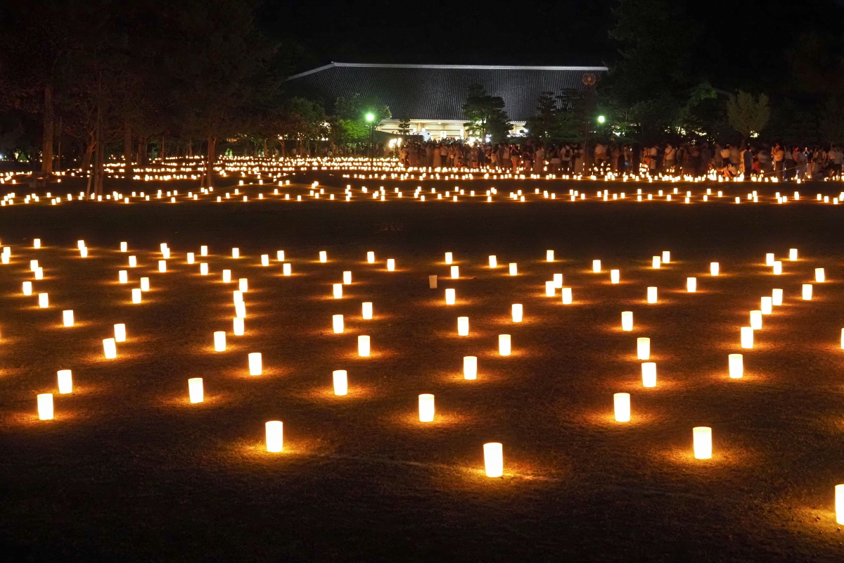 奈良公園のキャンドルイベント「なら燈花会」で真夏の夜を満喫！の記事サムネイル
