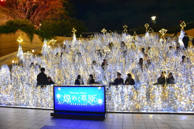 E~̕uȂΌ2025-2026vŌz̐EցI̋LTlC