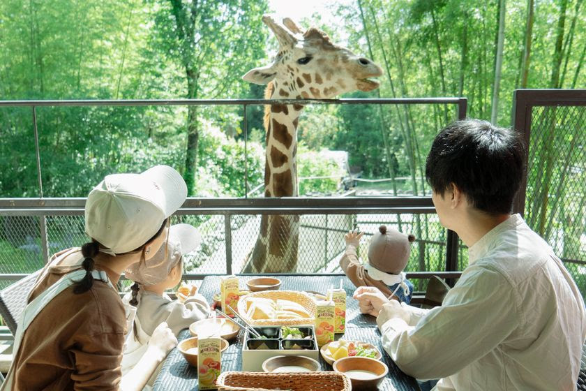 �L�����ƒ��H��!?�O�����s���O�{�݁uTHE BAMBOO FOREST�v�̐l�C�I�v�V�������ĊJ�I�̋L���T���l�C��