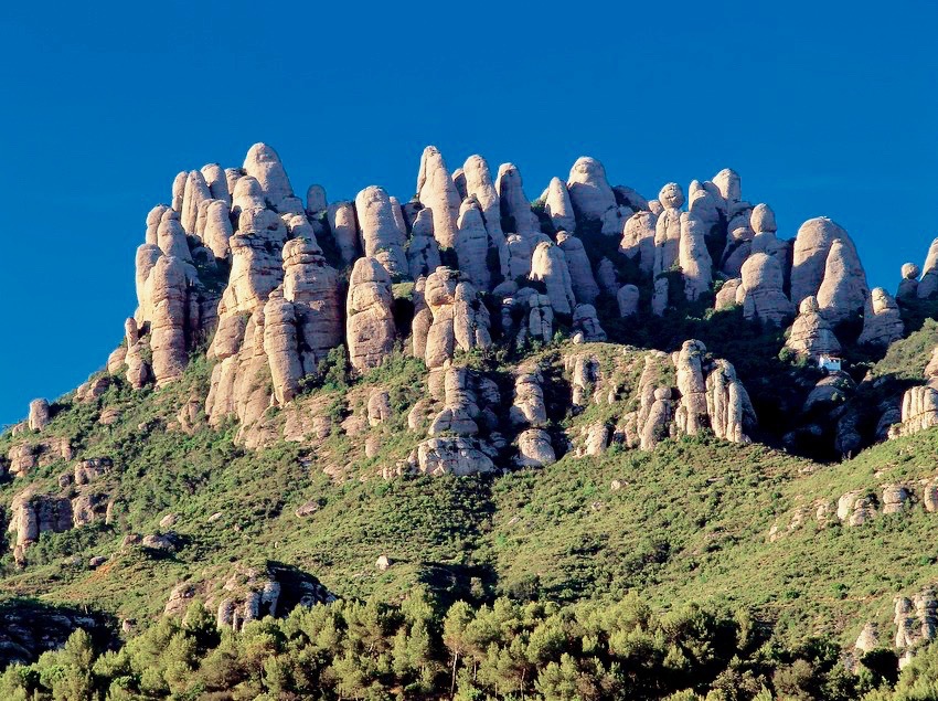 �K�E�f�B���������p���[�X�|�b�g�Ƃ́H