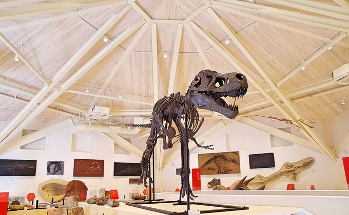 夏に楽しい関西の穴場スポットはここ！一挙ご紹介