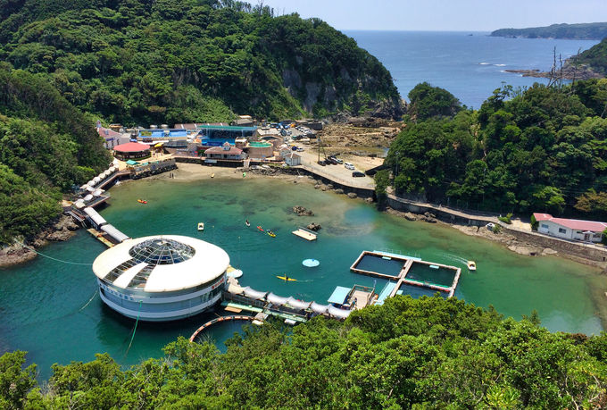 �I�����^�Z���L�����ŗ��s�E�ό��������ɁI�y2026�N �O�c�@�I���z�̃T���l�C��