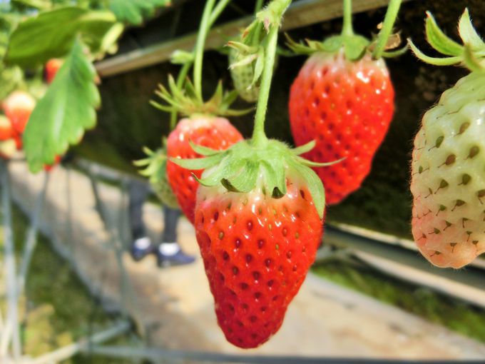 ���������X�|�b�g��������10�I