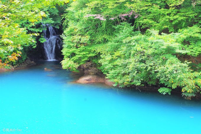 �ɂ�����GW�����[���I���A��ōs����X�|�b�g