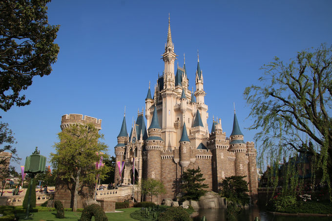 つ・い・に！＼再開／