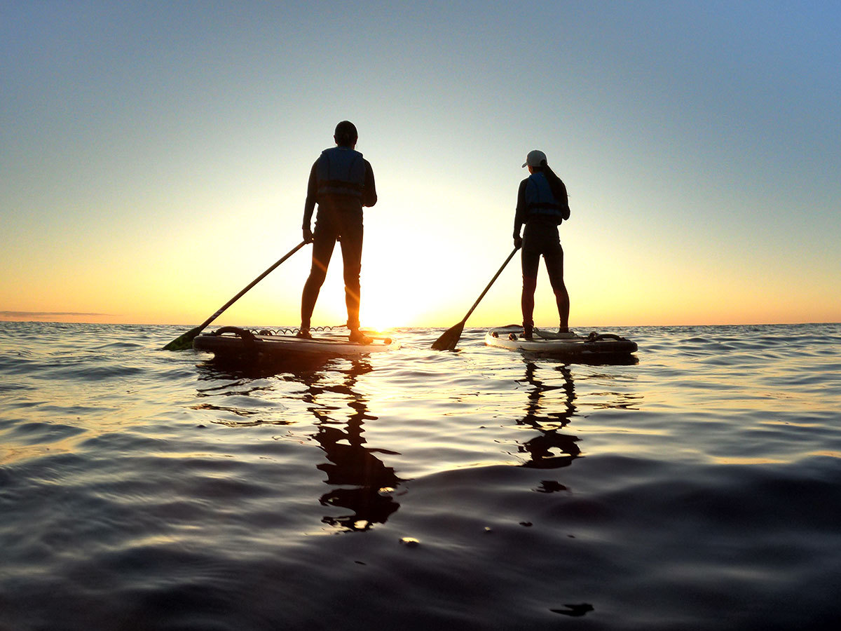 A[zfJccTZbgŃg[ǧ̃TlC