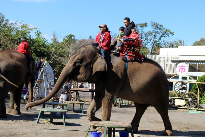 もうすぐGW！子連れにおすすめな旅行先はここ