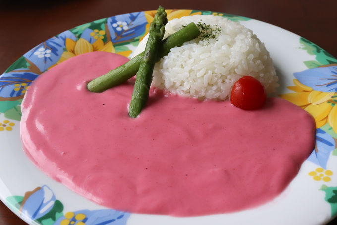 謎の郷土グルメに砂丘ヨガ「誰かに教えたくなる」鳥取の秘密を知る