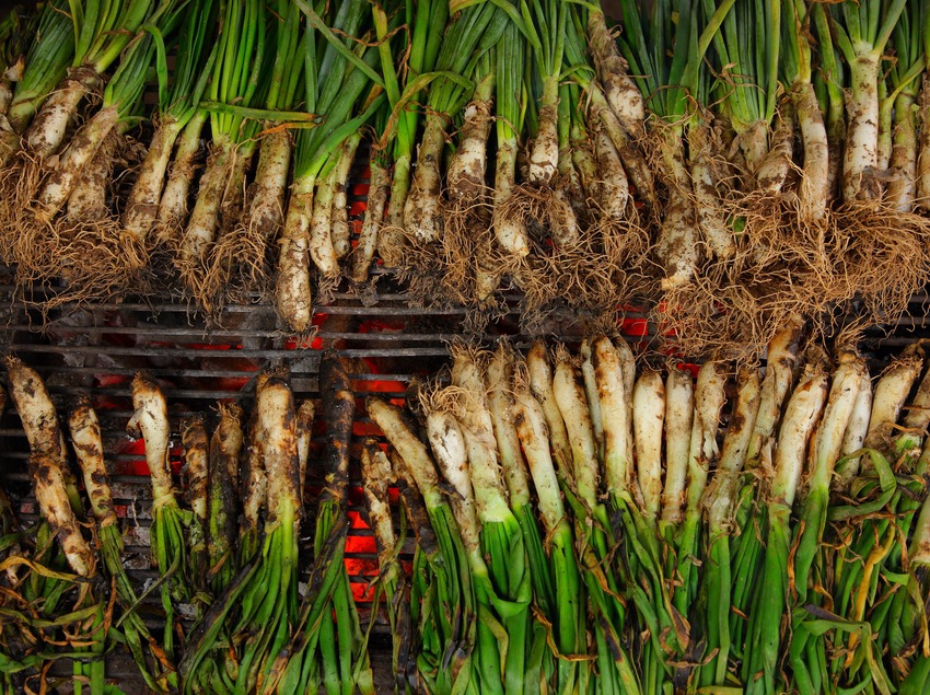 ワイン！グルメ！観光！すべてを楽しめる場所とは