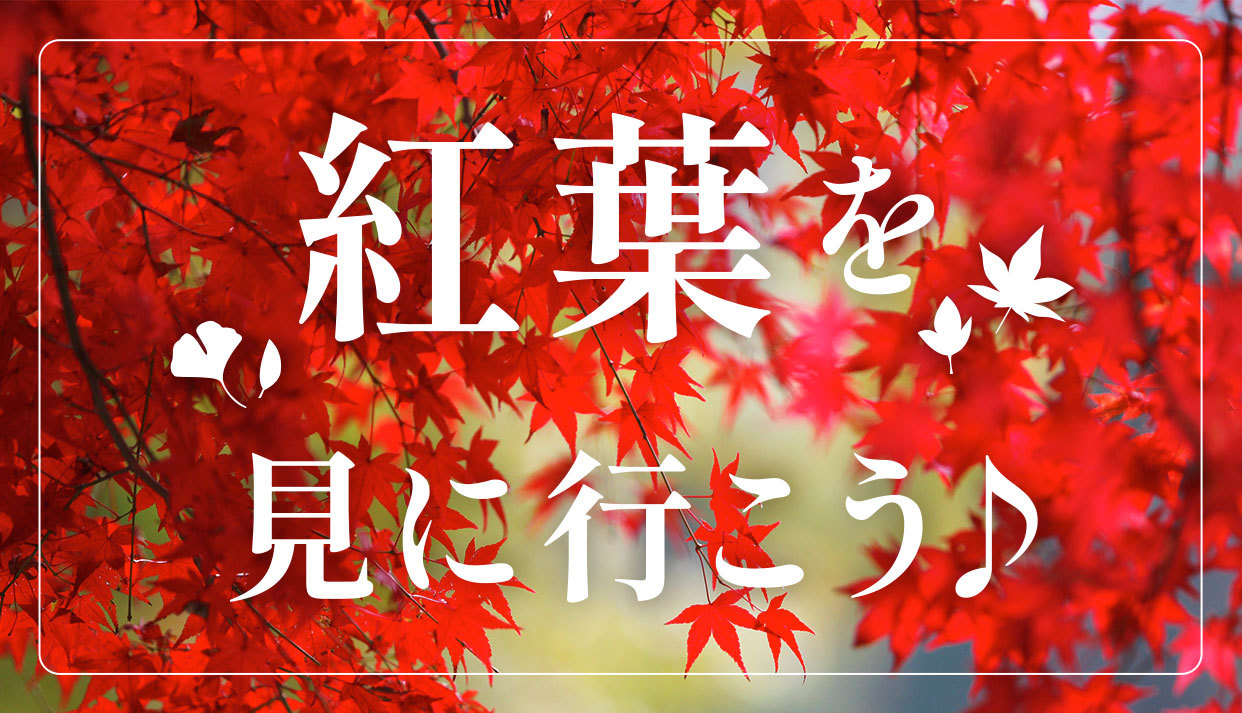 gt̖ɍsISgtX|bgLÕTlC